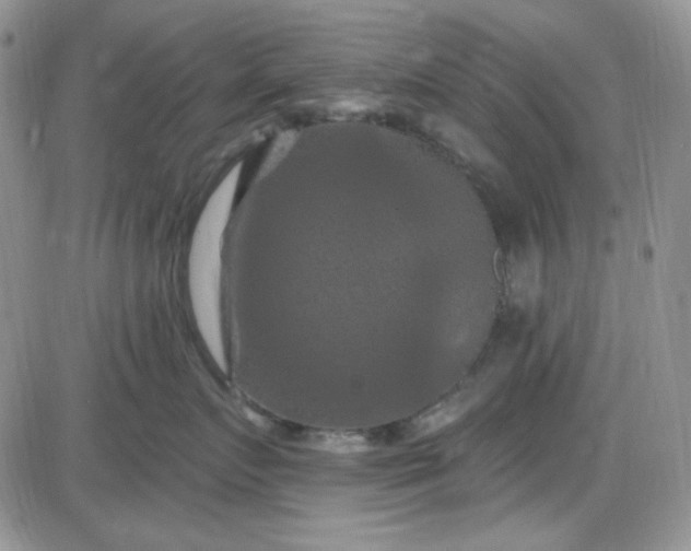 X0000085300719200703231858