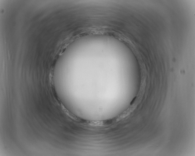 X0000085300720200703231858