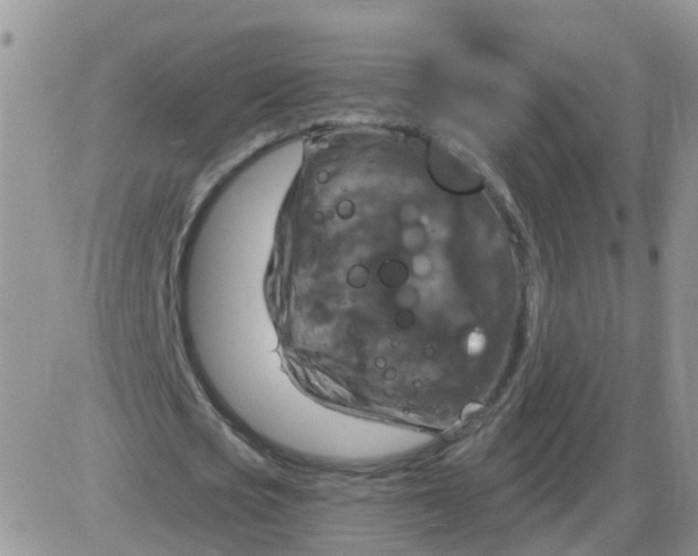 X0000085300721200703231857