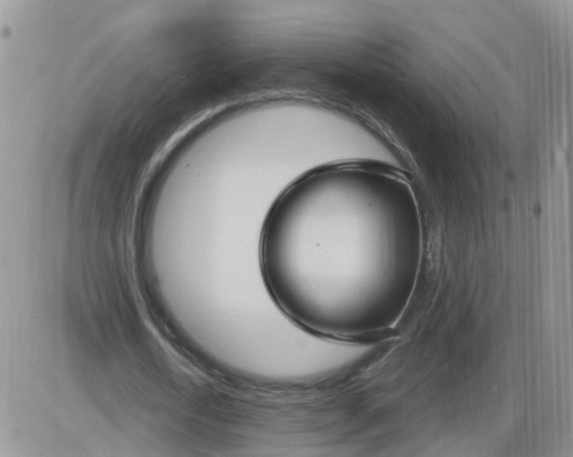 X0000085300722200703231857