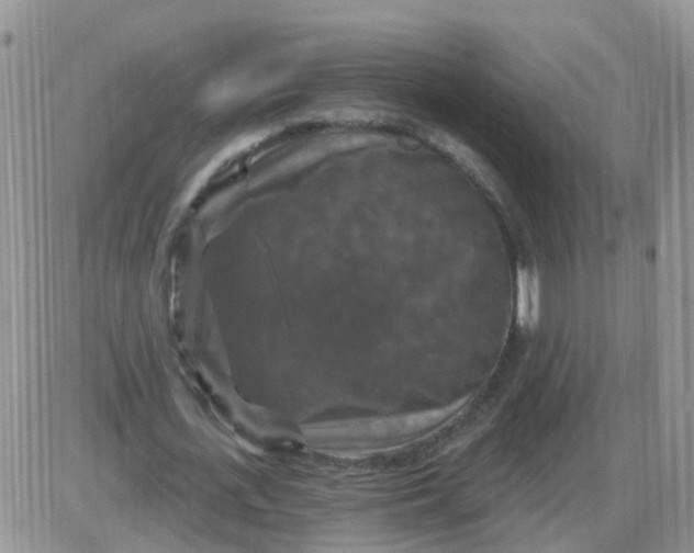 X0000085300723200703231857