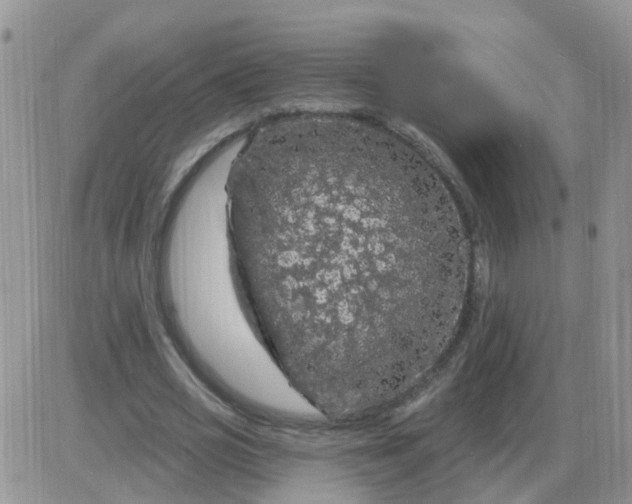 X0000085300725200703231857