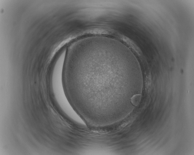 X0000085300727200703231857