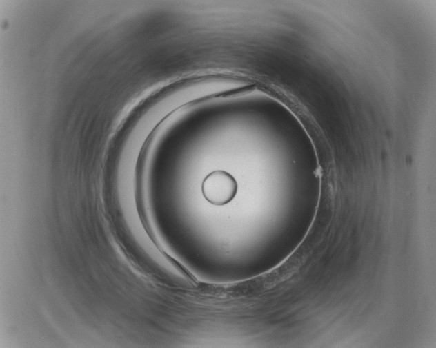 X0000085300728200703231857