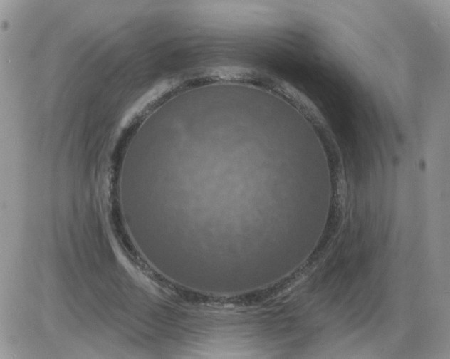 X0000085300730200703231857