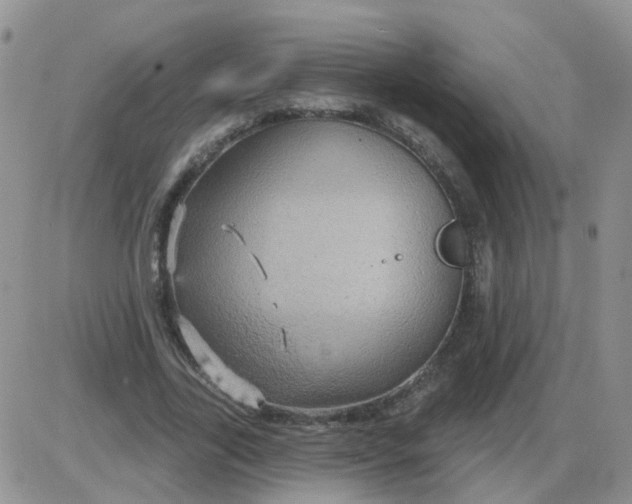 X0000085300731200703231857