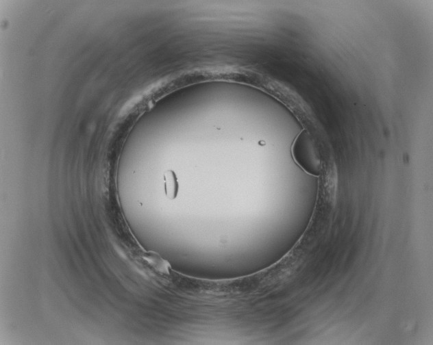 X0000085300732200703231857