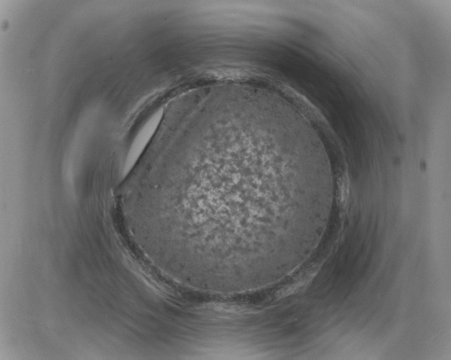 X0000085300733200703231857