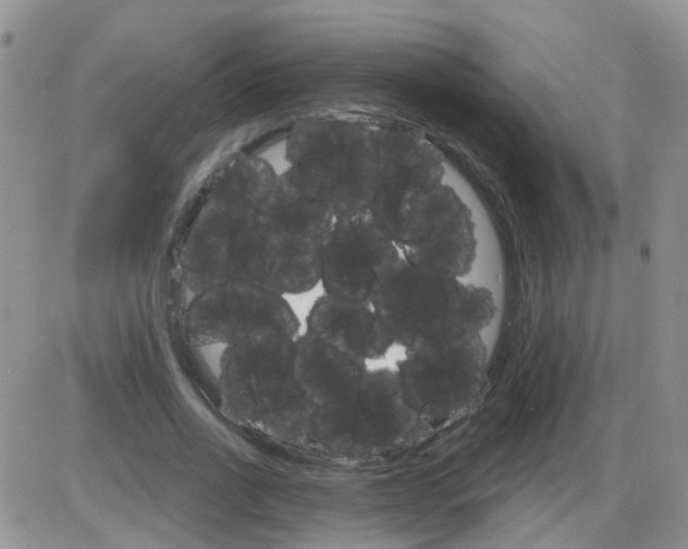 X0000085300734200703231857