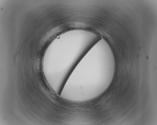 X0000085300735200703231857