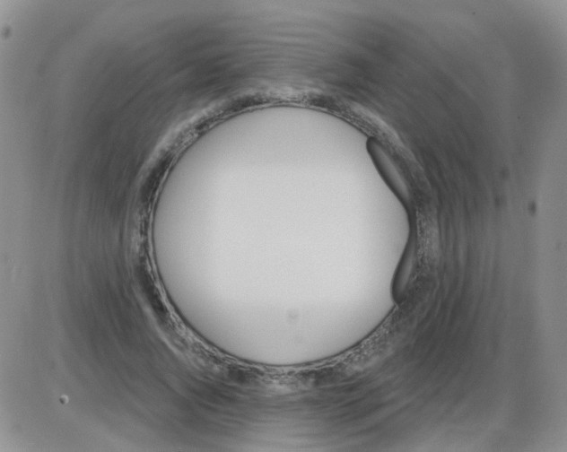 X0000085300736200703231857