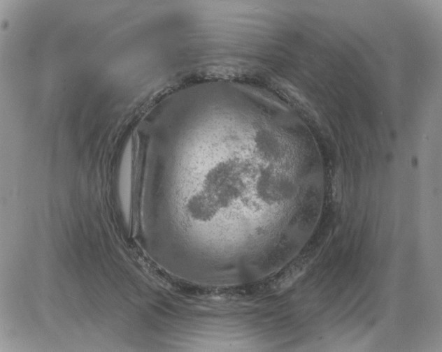 X0000085300737200703231858