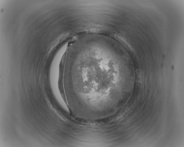 X0000085300738200703231858