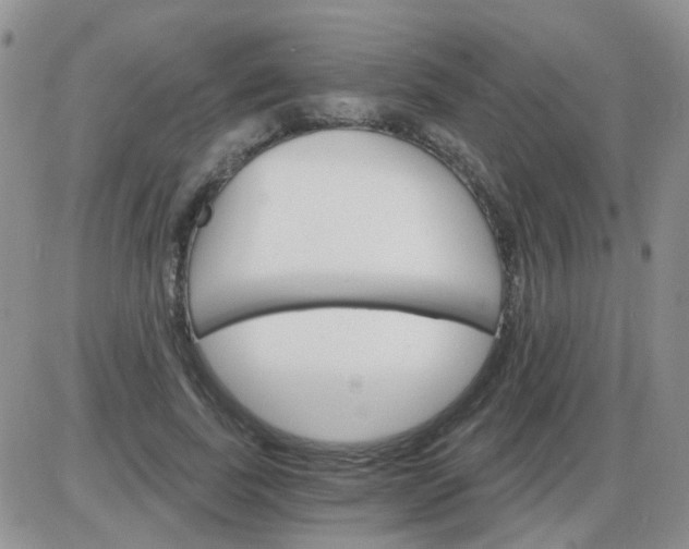 X0000085300739200703231858