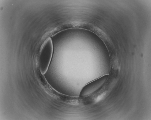 X0000085300740200703231858