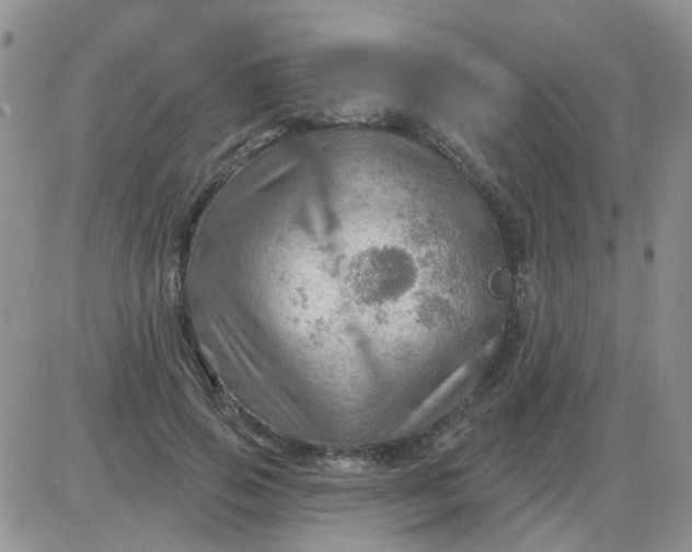 X0000085300741200703231858