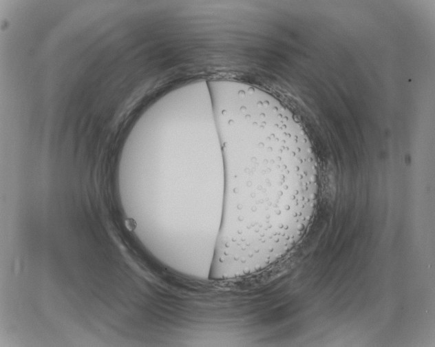 X0000085300742200703231858