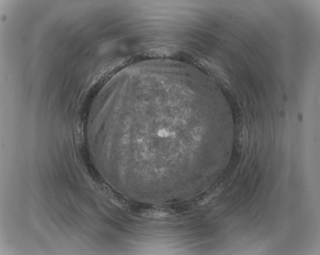 X0000085300743200703231858