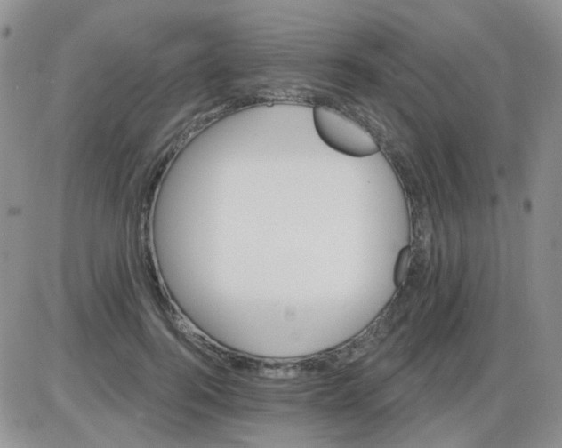 X0000085300744200703231858