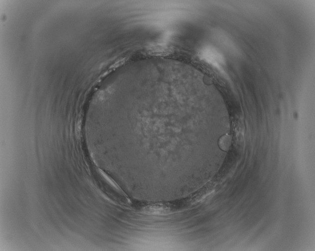 X0000085300745200703231858