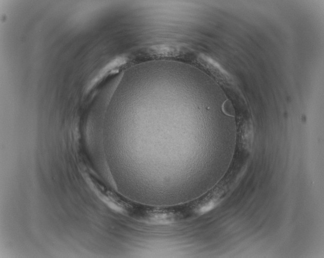 X0000085300746200703231858