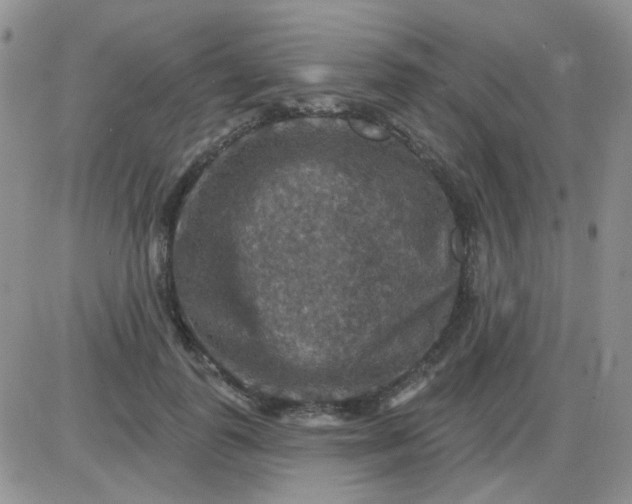 X0000085300747200703231858