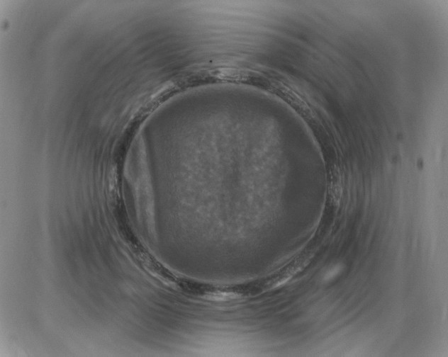 X0000085300748200703231858