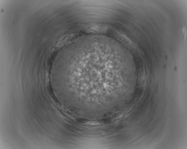 X0000085300749200703231858