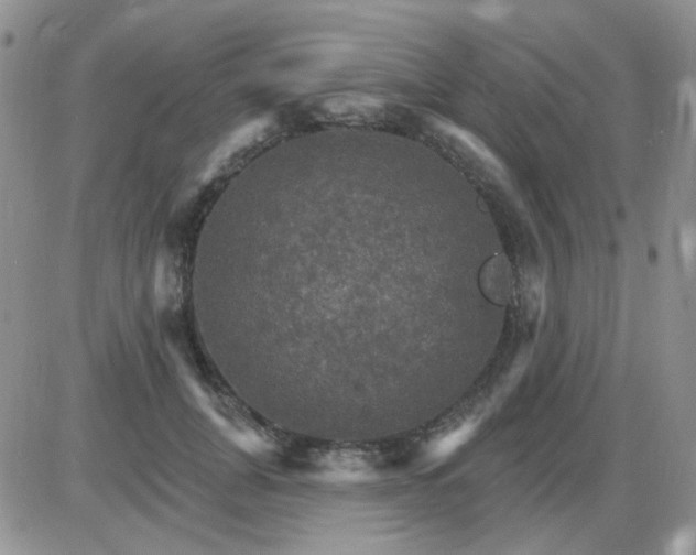 X0000085300751200703231858