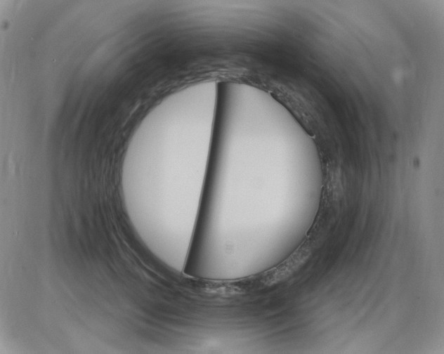 X0000085300752200703231858