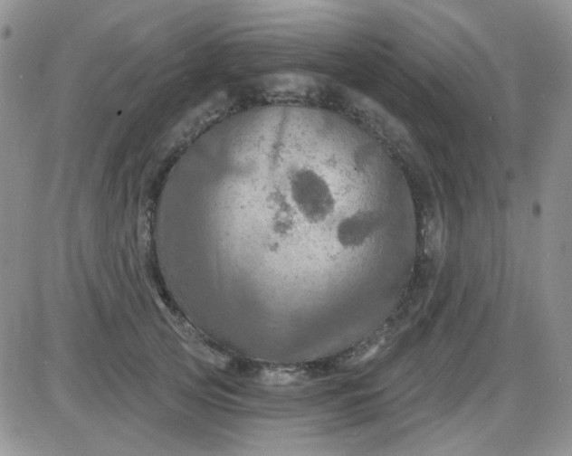 X0000085300753200703231858