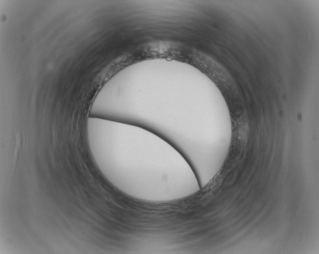 X0000085300754200703231858