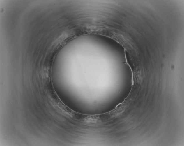 X0000085300756200703231858