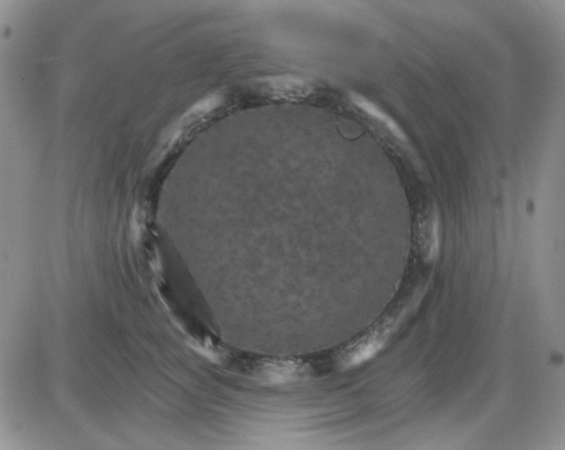 X0000085300757200703231858