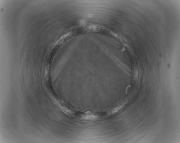 X0000085300759200703231858