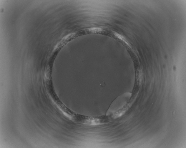 X0000085300760200703231858