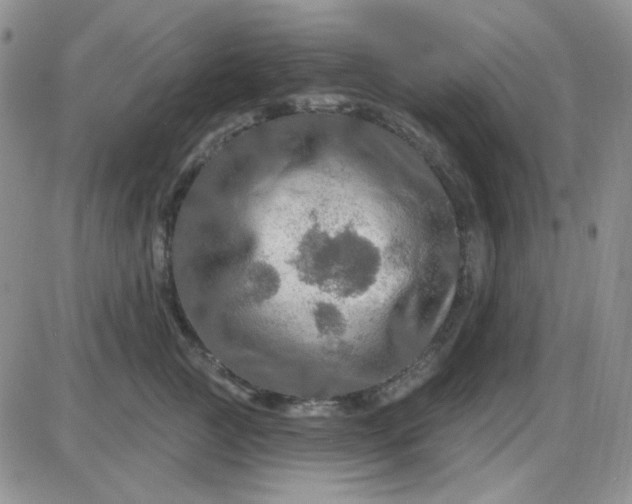 X0000085300761200703231858