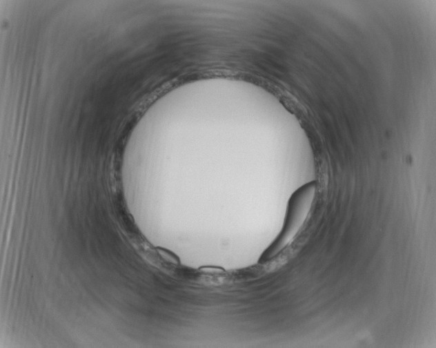 X0000085300764200703231858