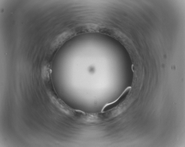 X0000085300768200703231858