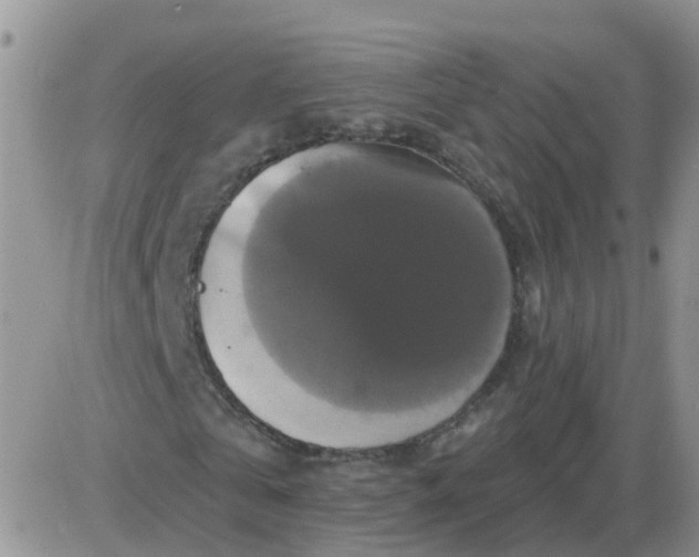 X0000085300769200703231857