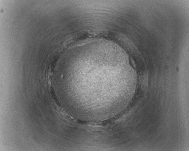 X0000085300770200703231857