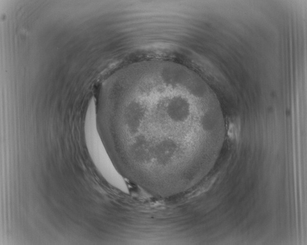 X0000085300771200703231857