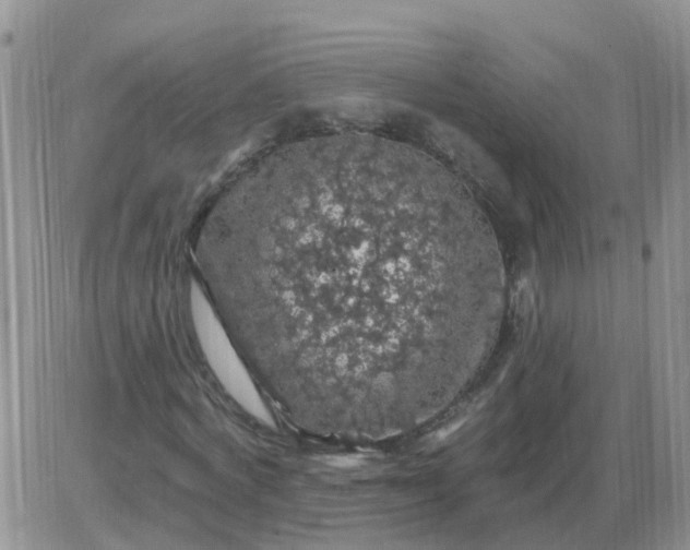 X0000085300772200703231857