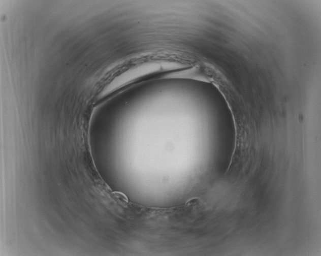 X0000085300773200703231857