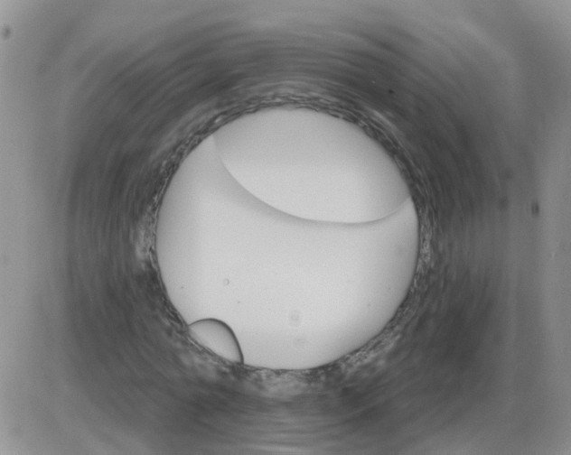 X0000085300774200703231857