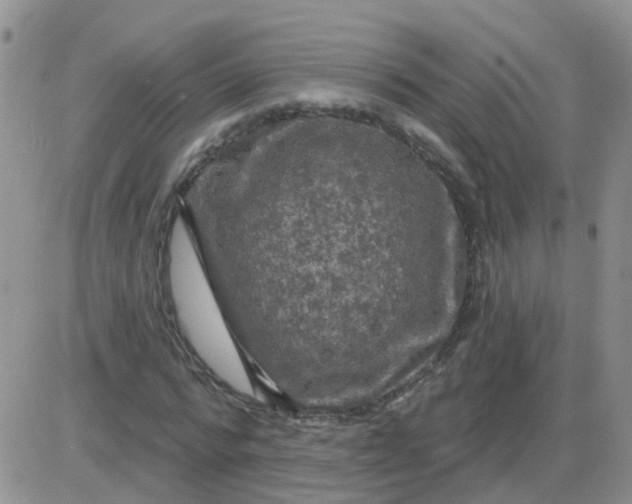 X0000085300776200703231857