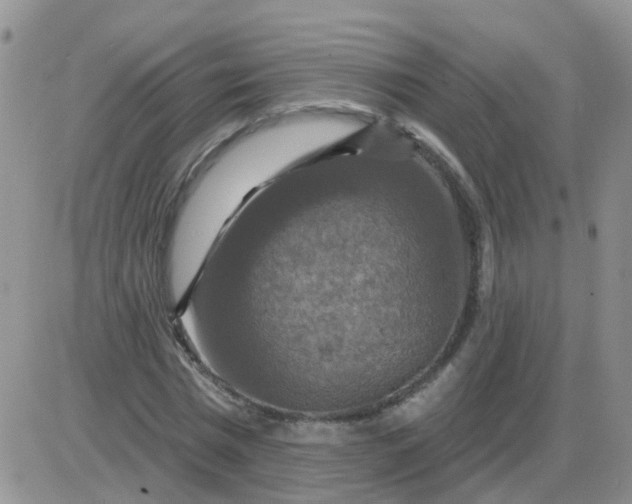 X0000085300777200703231857