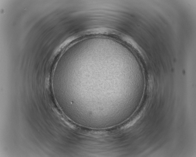 X0000085300778200703231857