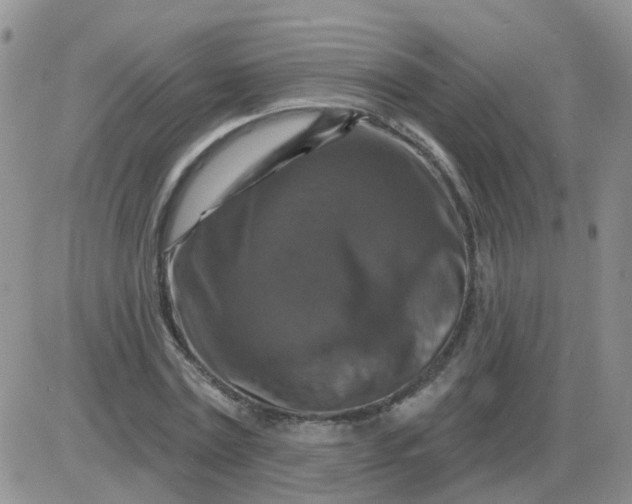 X0000085300779200703231857