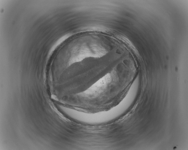 X0000085300780200703231857